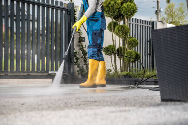 Best Patio and Deck Pressure Washing  in Spring Valley, IL